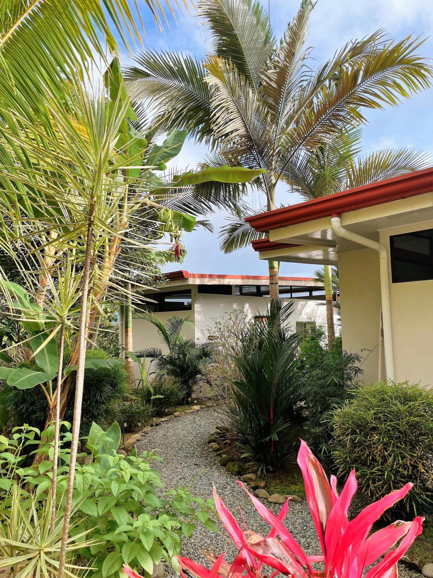 Nature'S Edge Boutique Hotel Uvita Kamer foto